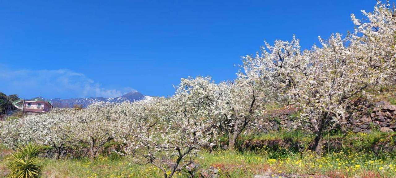 B&B Dimora Dell' Etna Milo Kültér fotó