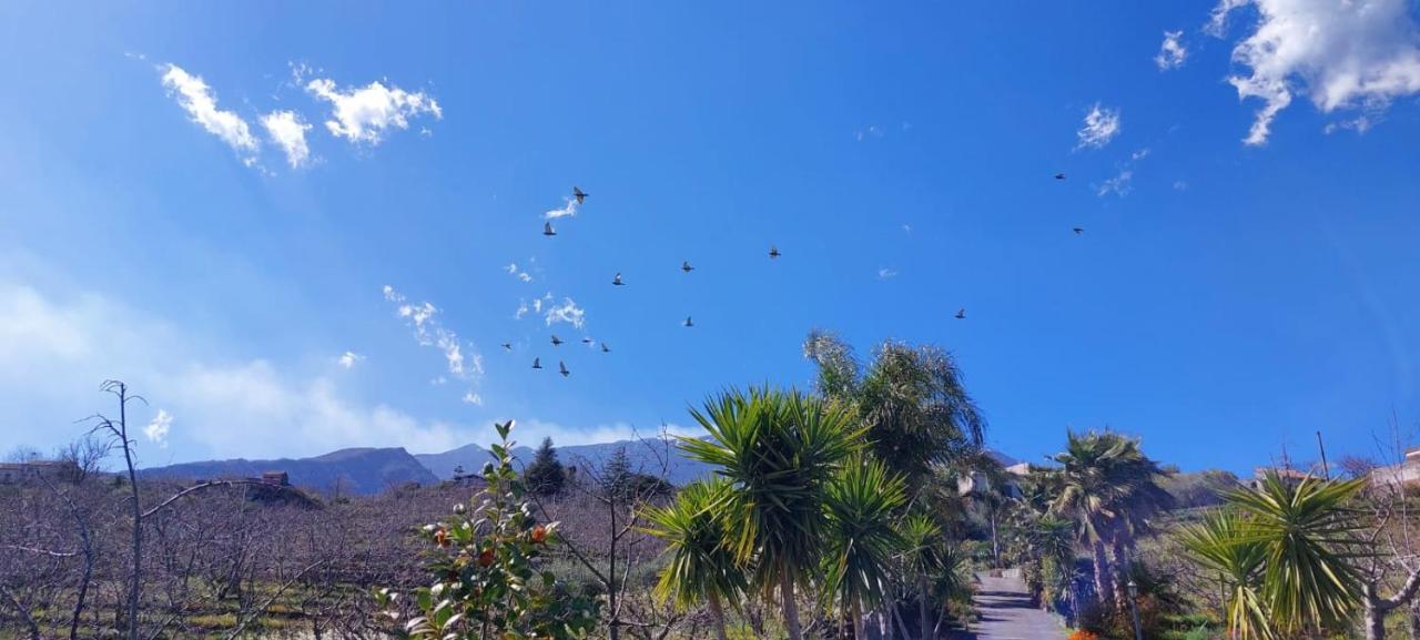 B&B Dimora Dell' Etna Milo Kültér fotó