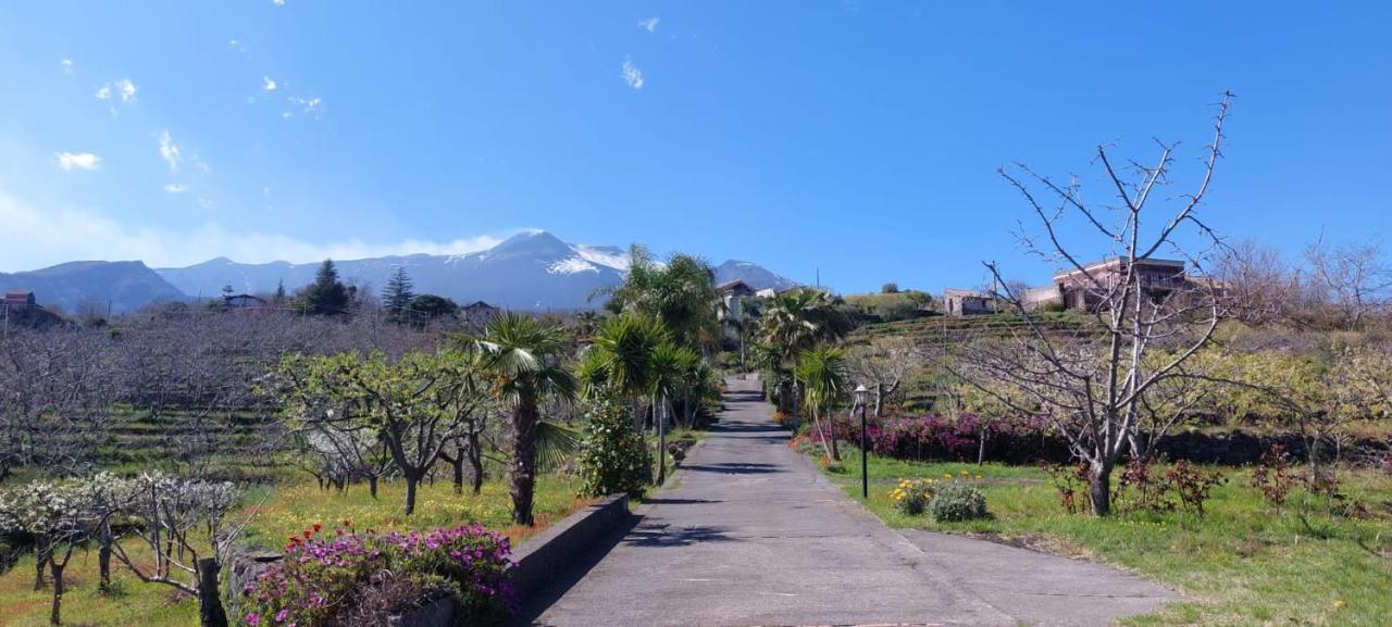 B&B Dimora Dell' Etna Milo Kültér fotó